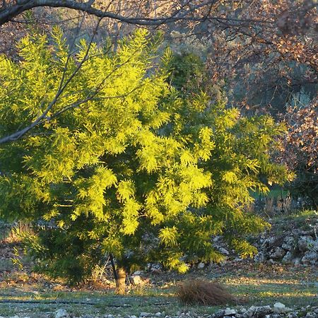Jamai Villa Claviers Dış mekan fotoğraf